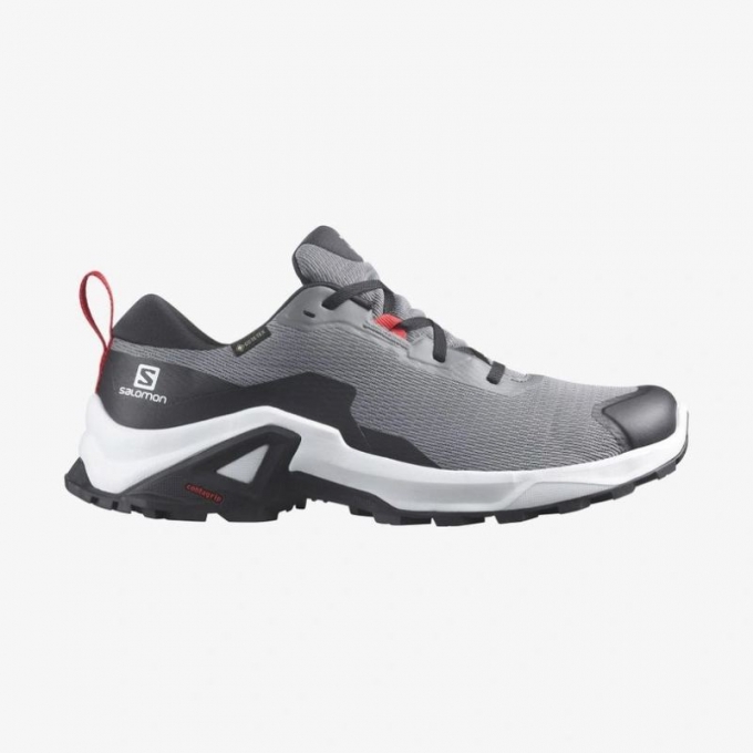 SALOMON MEN'S X REVEAL 2 GORE-TEX-Quiet Shade / Black / Goji Berry