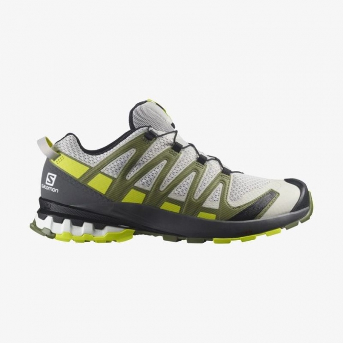 SALOMON MEN'S XA PRO 3D v8-Lunar Rock / Evening Primrose / Olivine