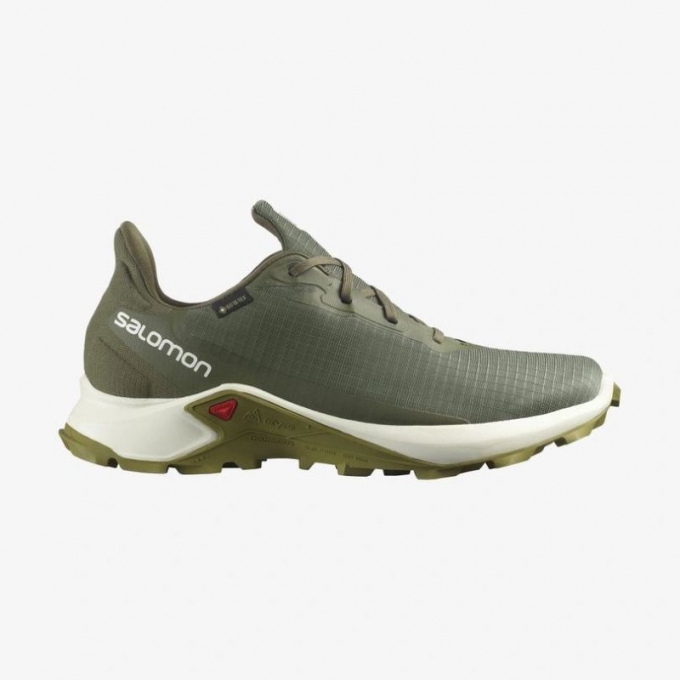 SALOMON MEN'S ALPHACROSS 3 GORE-TEX-Olive Night / Vanilla Ice / Green Moss