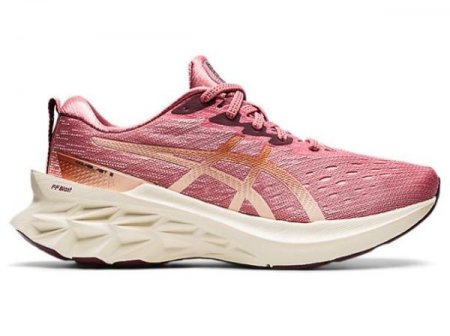 ASICS | WOMEN'S NOVABLAST 2 - Smokey Rose/Pure Bronze