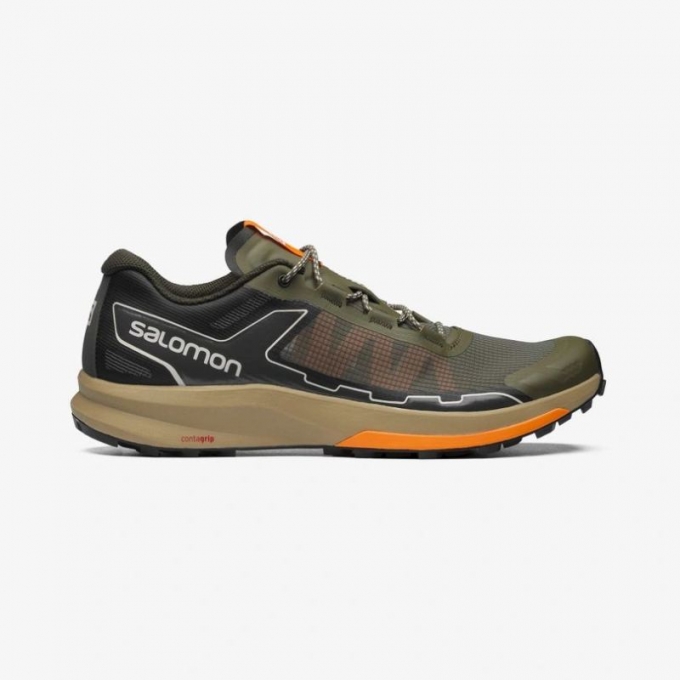 SALOMON MEN'S ULTRA RAID-Olive Night / Peat / Ponderosa Pine